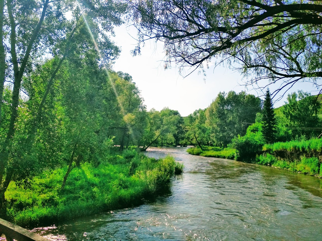 Речной изгиб. Река Жиздра. Изгиб речки. Красивые места на реке Жиздра. Канал между речными изгибами.