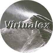 Virtualex.png